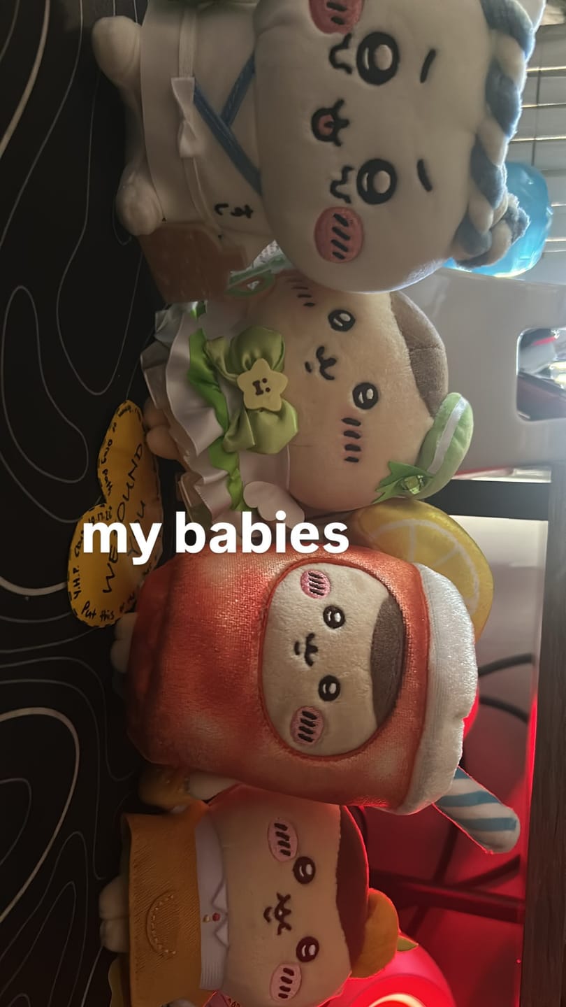 Customer photo review of Chiikawa - Sushi Series Sitting Plush Toys