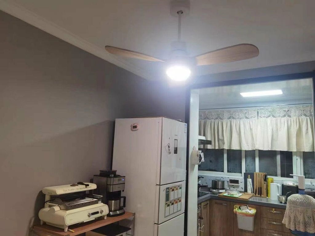 Customer photo review of Ceiling Fan with Light, Wooden Blades, Remote Control