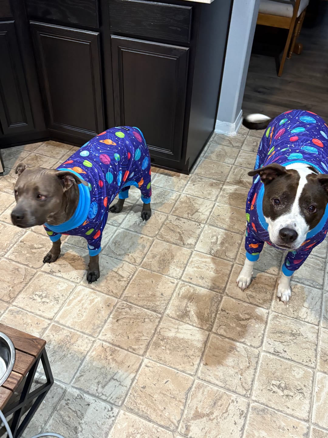 Customer photo review of Dog Pajama - Planets