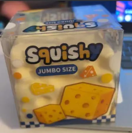 Customer photo review of Cheese Cube Squishy
