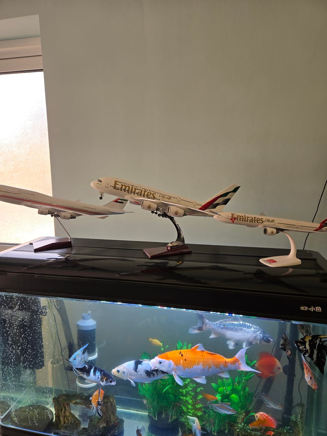 Customer photo review of Emirates Airbus A380 1:160 Scale Model