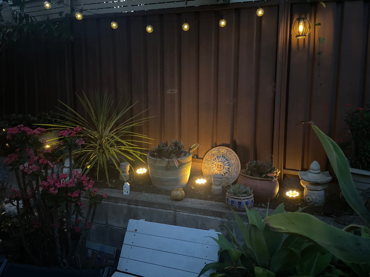 Customer photo review of SolaGarden™ Festoon Lights