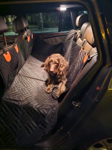 Customer photo review of WanderPup Dog Seat Cover