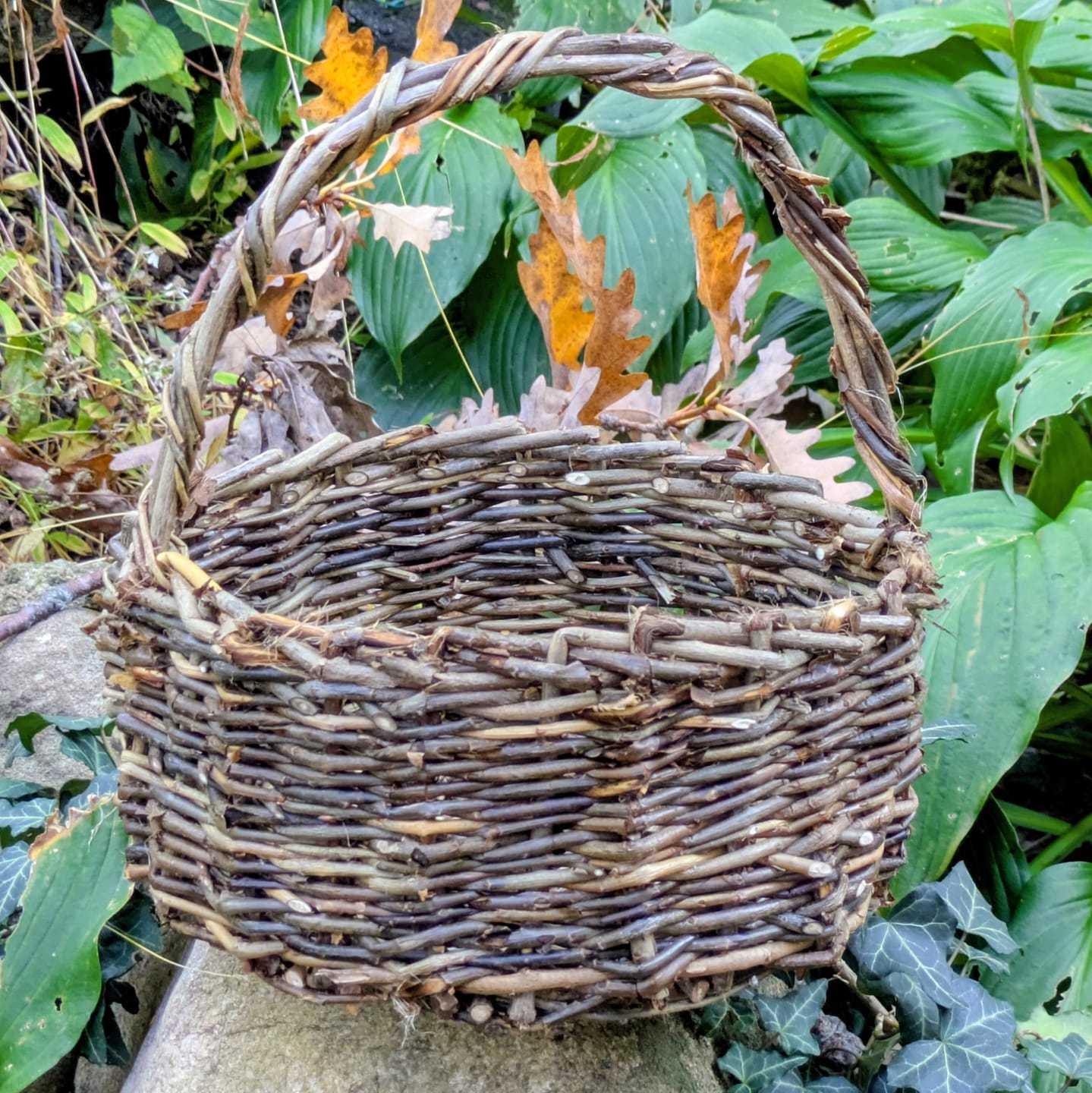 Customer photo review of Beautiful, Simple Baskets Course and Kit