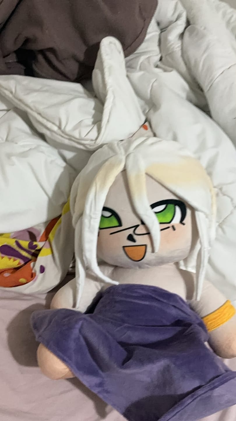 Customer photo review of Original Character (OC) Design Plush
