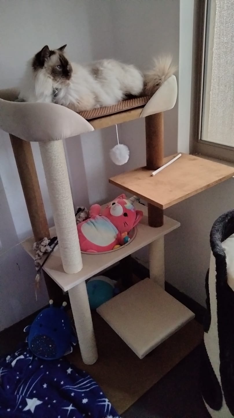 Customer photo review of Luxury Japanese-Style Cat Tree with Large Bed – 90906
