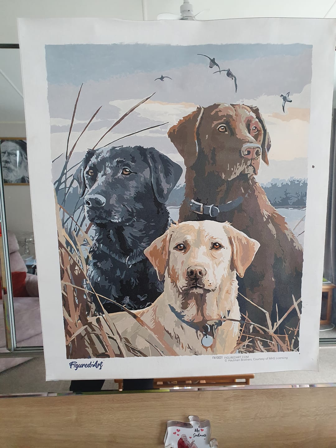 Customer photo review of Trio de Labrador