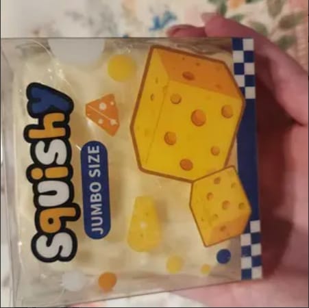 Customer photo review of Cheese Cube Squishy