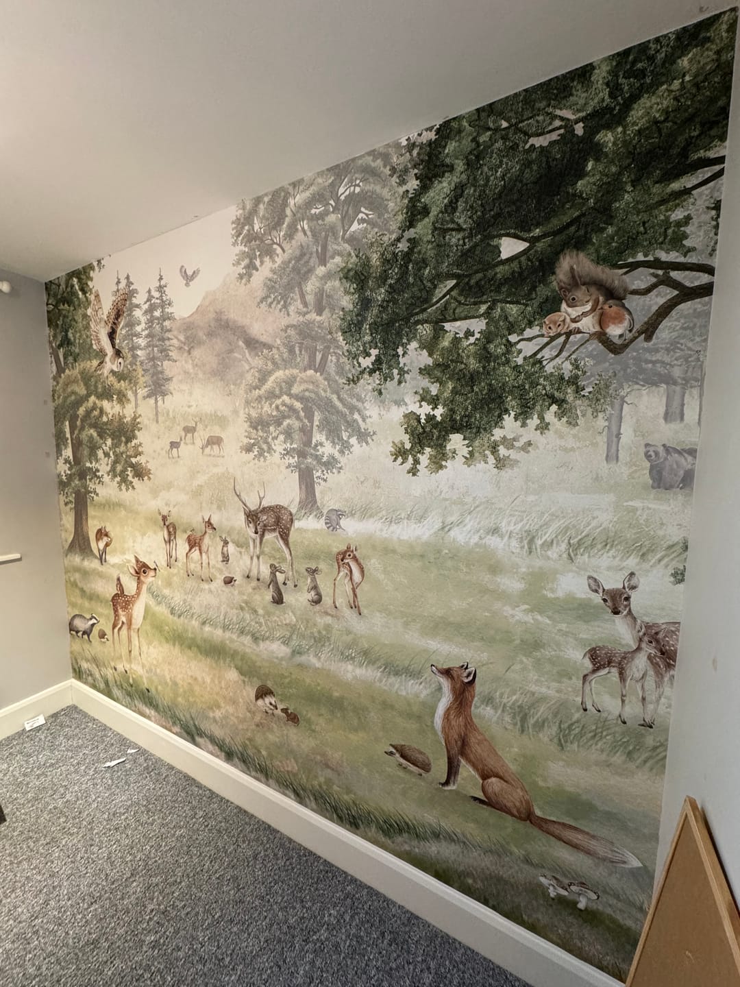 Customer photo review of Forest Fun - Children's Forest Illustration of Woodland Animals Wallpaper Mural