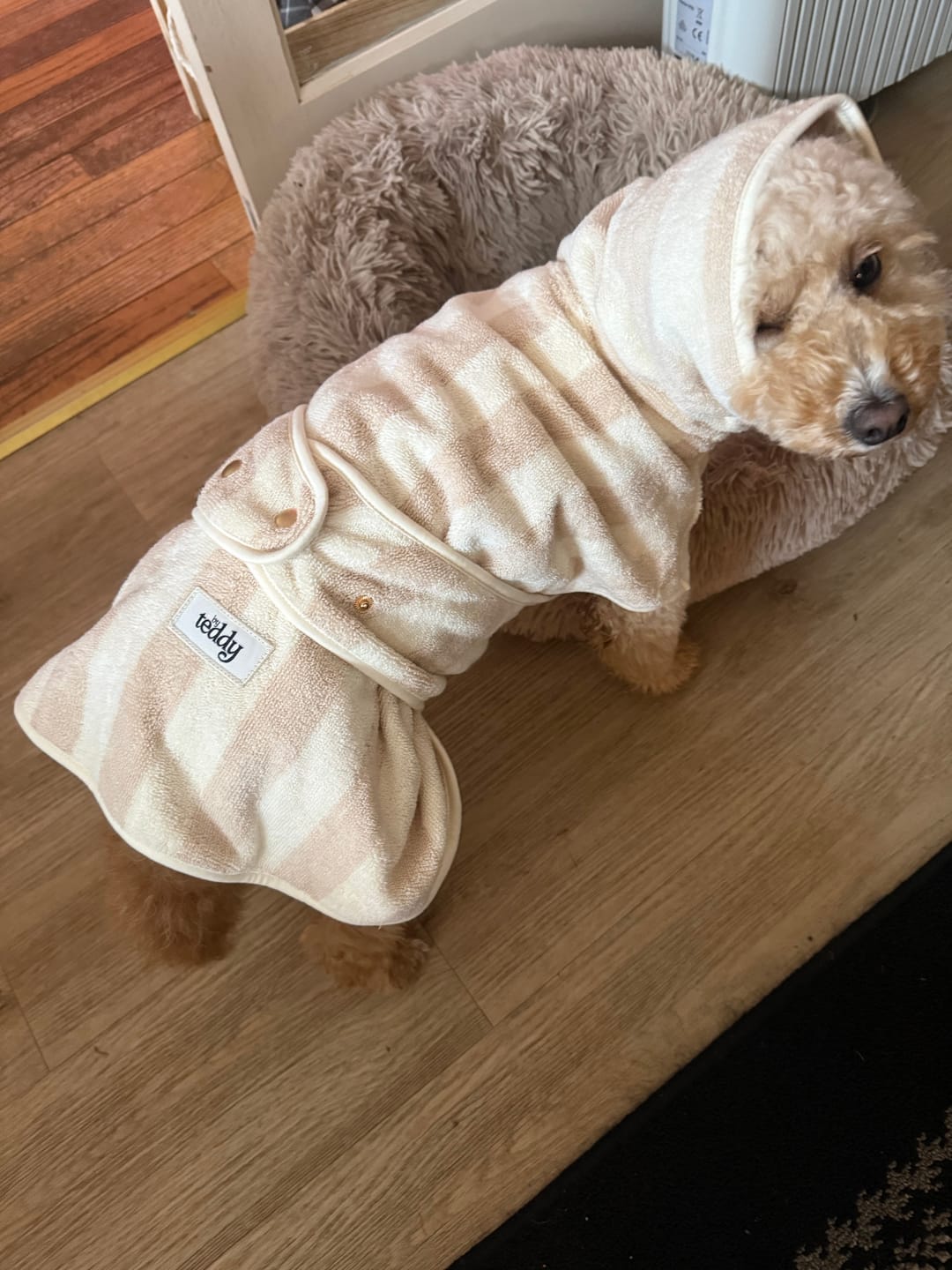 Customer photo review of Hazelnut Stripe | The Cosy Cloak Drying Robe