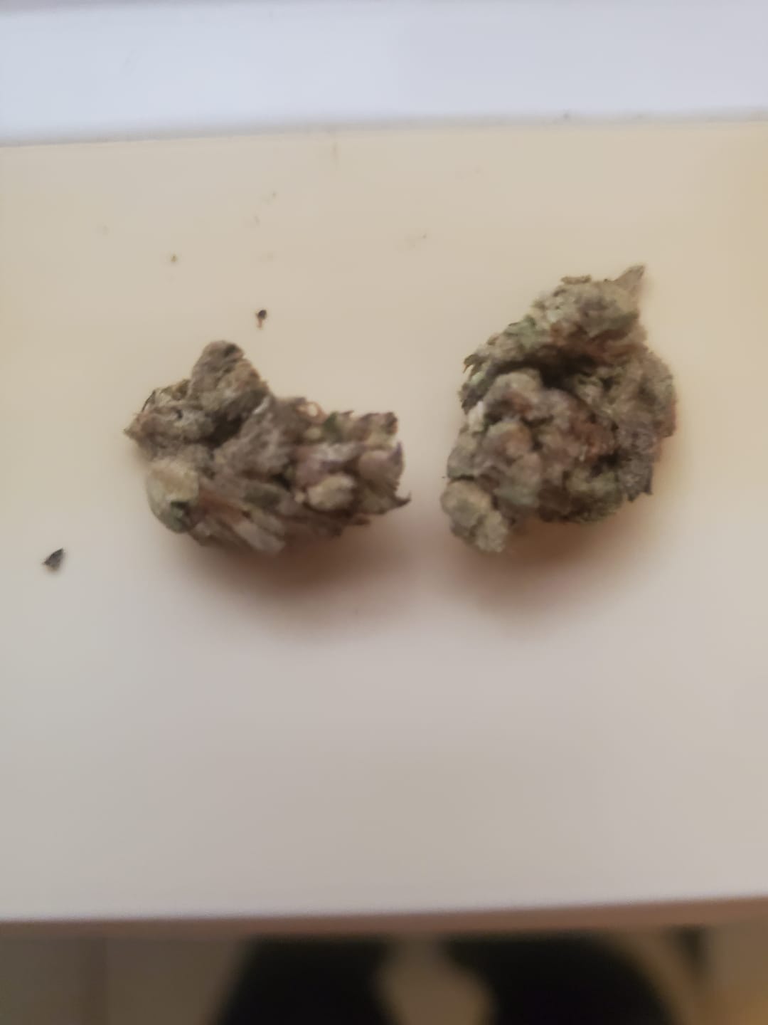 Customer photo review of Light Assist THCA Smalls