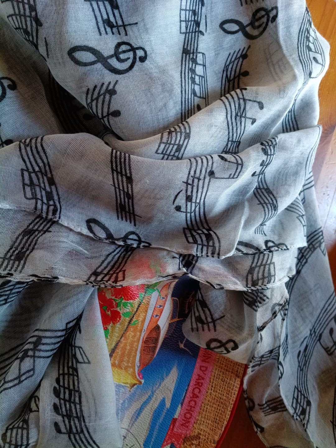 Customer photo review of Écharpe tube pour les musiciens