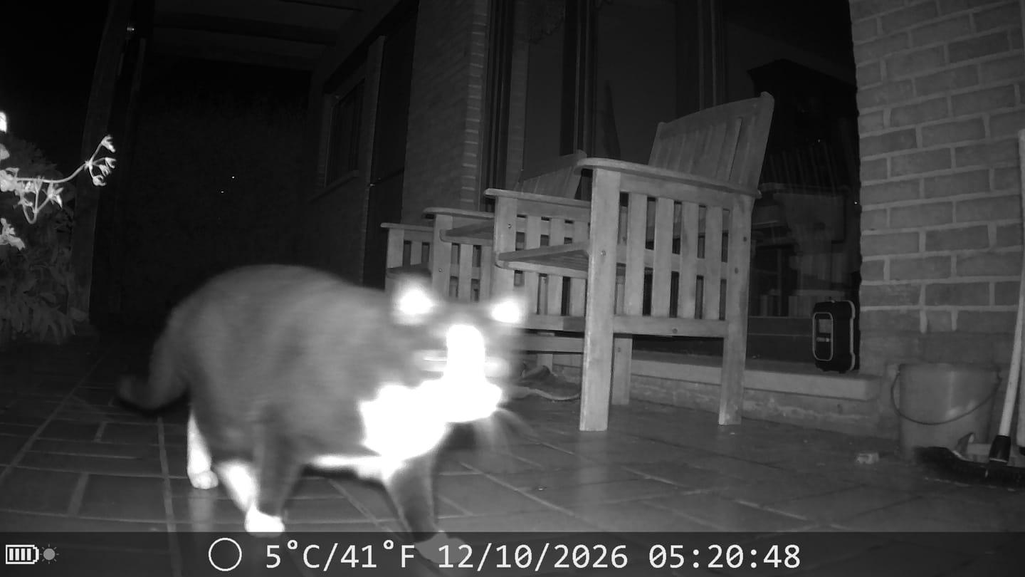 Customer photo review of Siltcon Wildcamera met zonnepaneel aan kabel