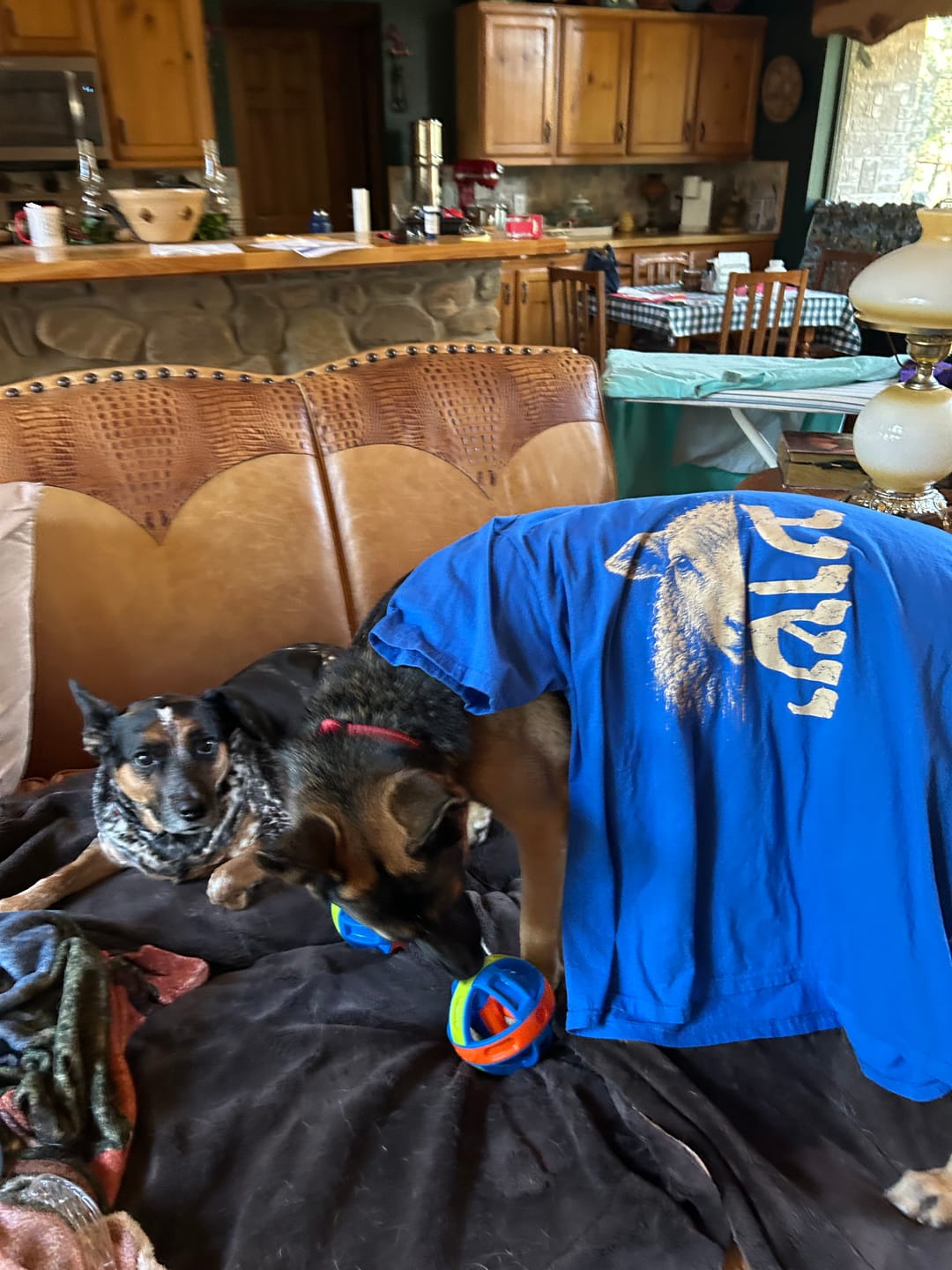 Customer photo review of Yeshua Lamb T-Shirt