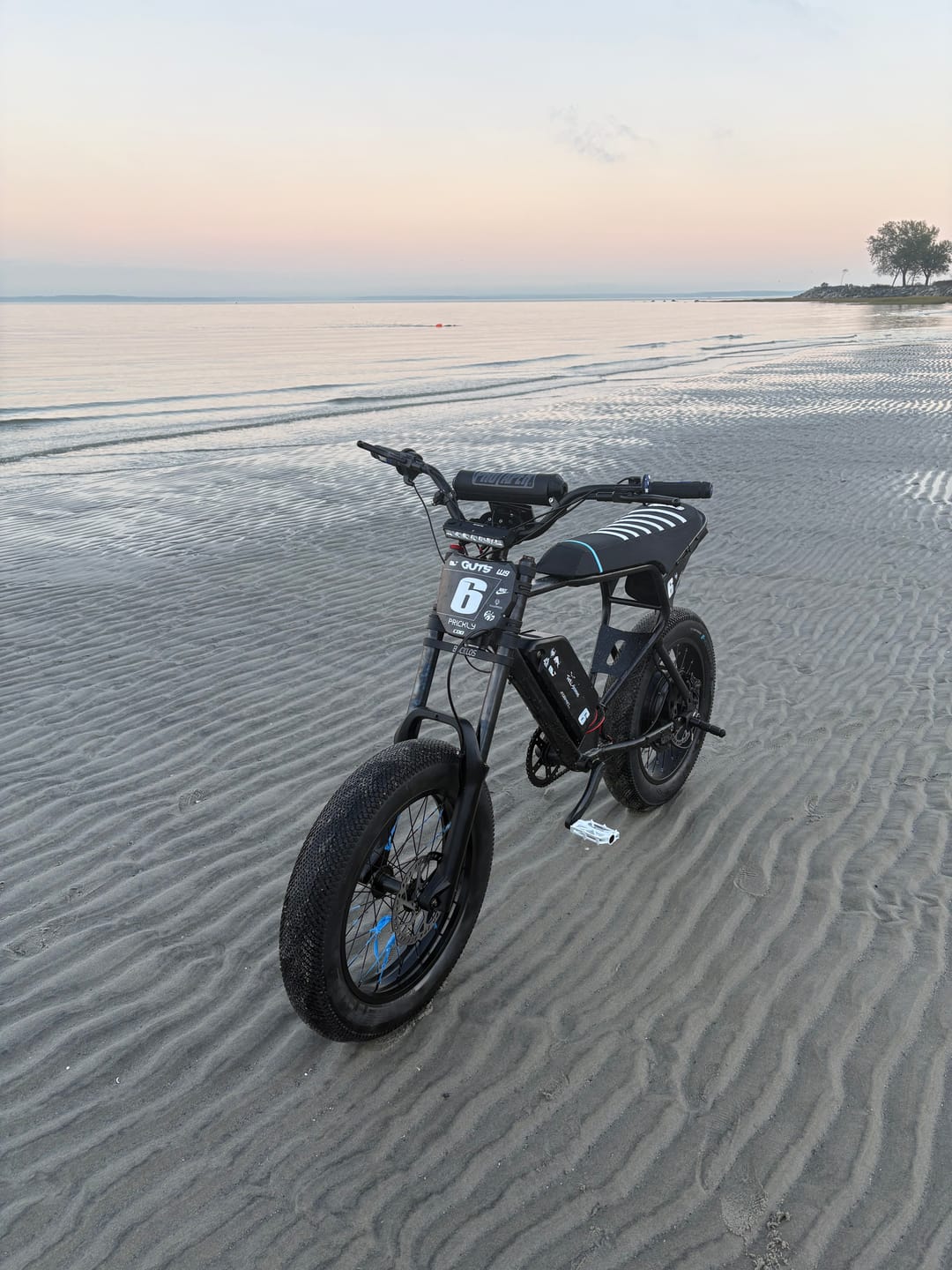 Customer photo review of Macfox X1S Commuter E-bike