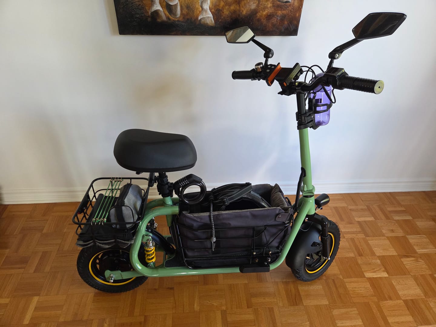 Customer photo review of Gyroor C1Pro 800W(Peak) Foldable Electric Scooter – Dual Baskets for Cargo & Pets