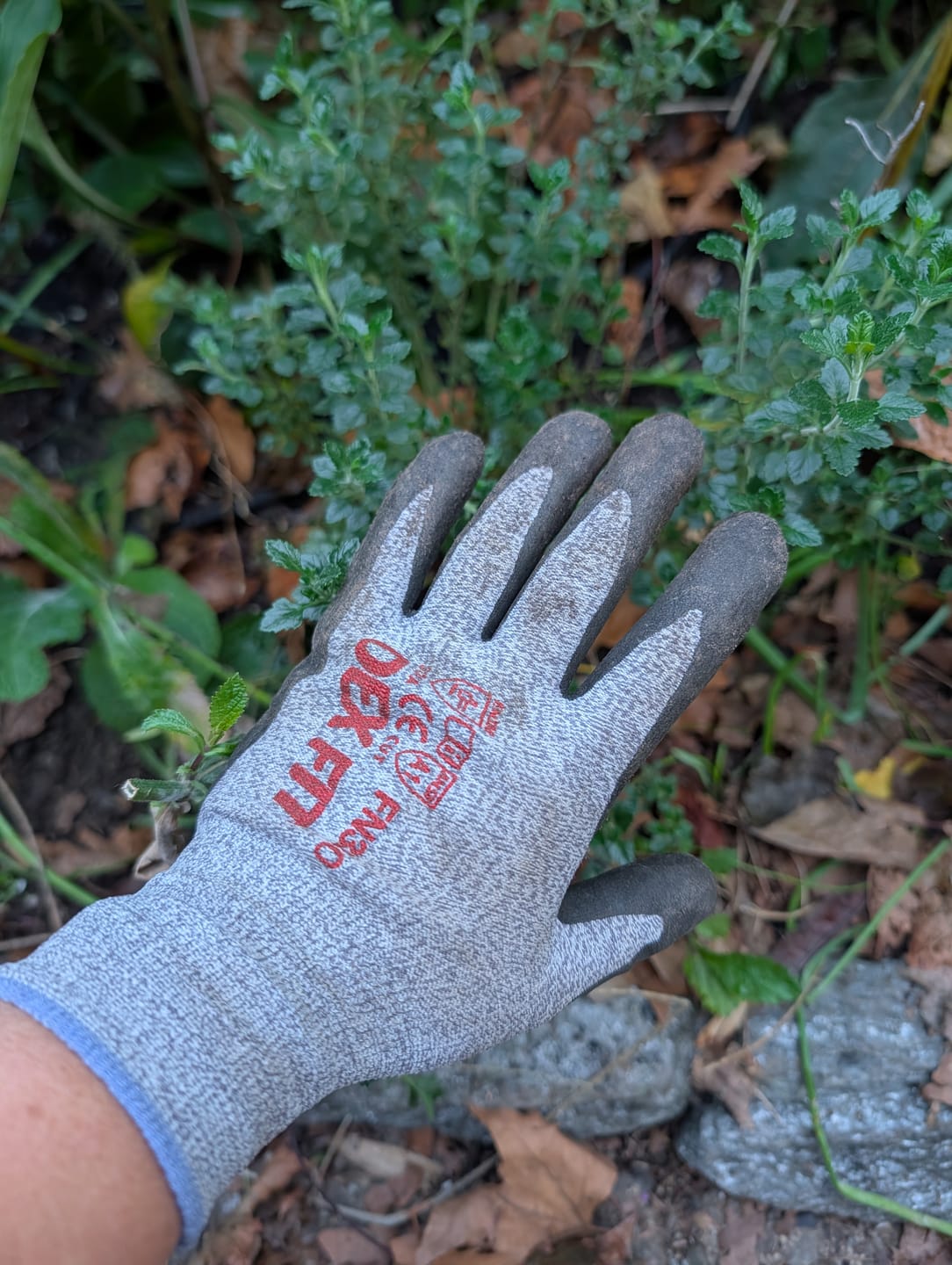 Customer photo review of Nitrile-Coated Work Gloves FN330