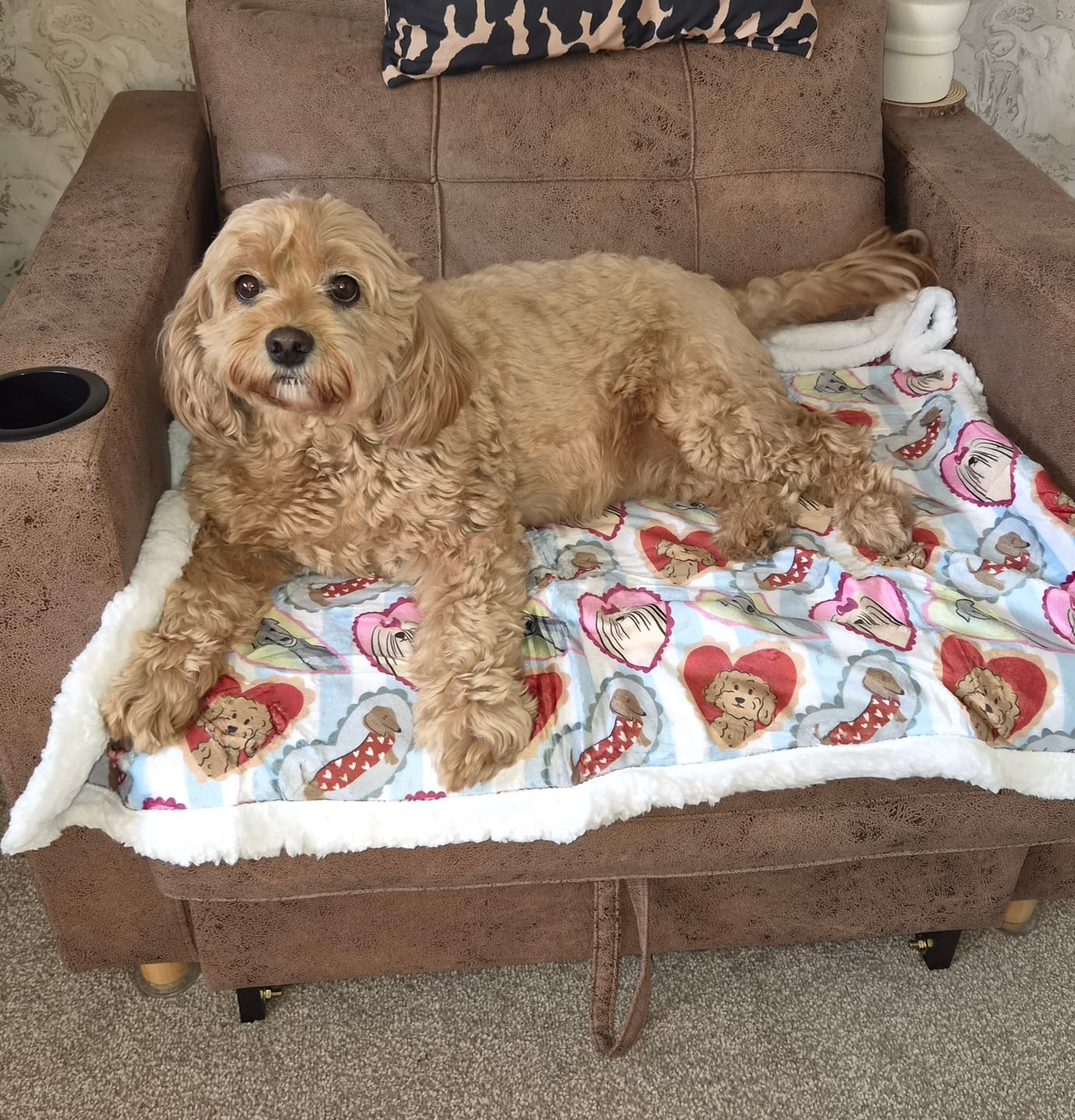 Customer photo review of Dog Blankie - My Fur Ever Love