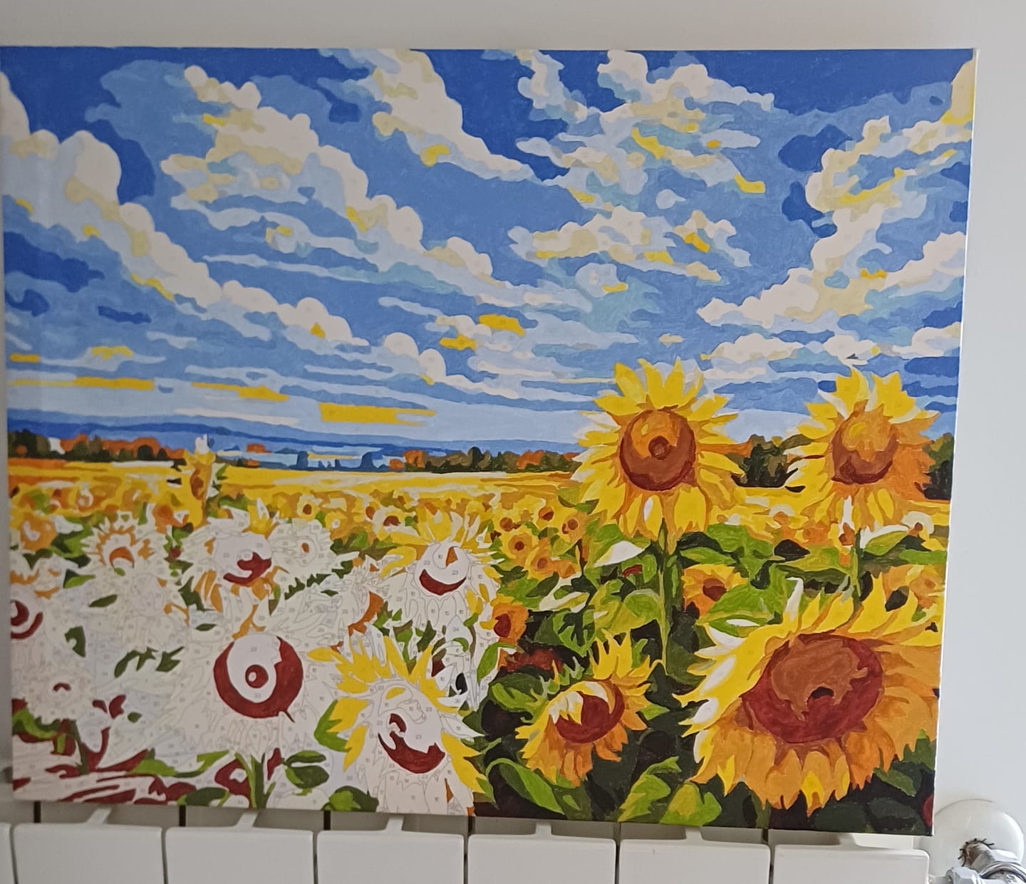 Customer photo review of Noon Sunflowers