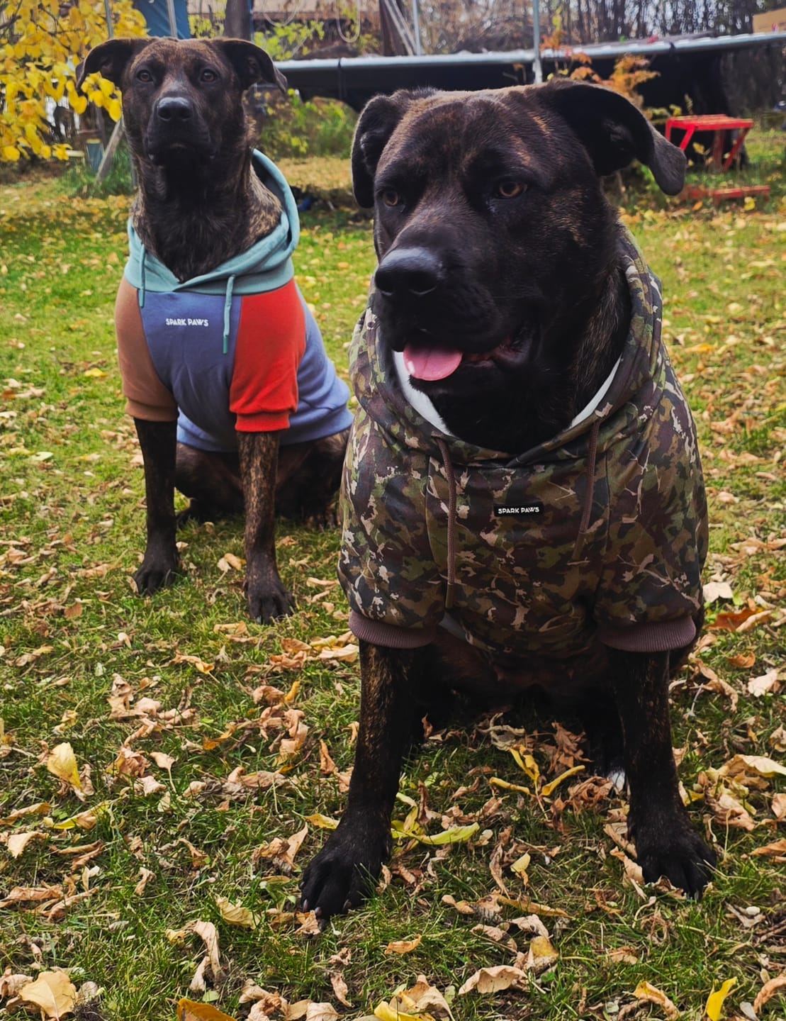 Customer photo review of Camo Dog Hoodies
