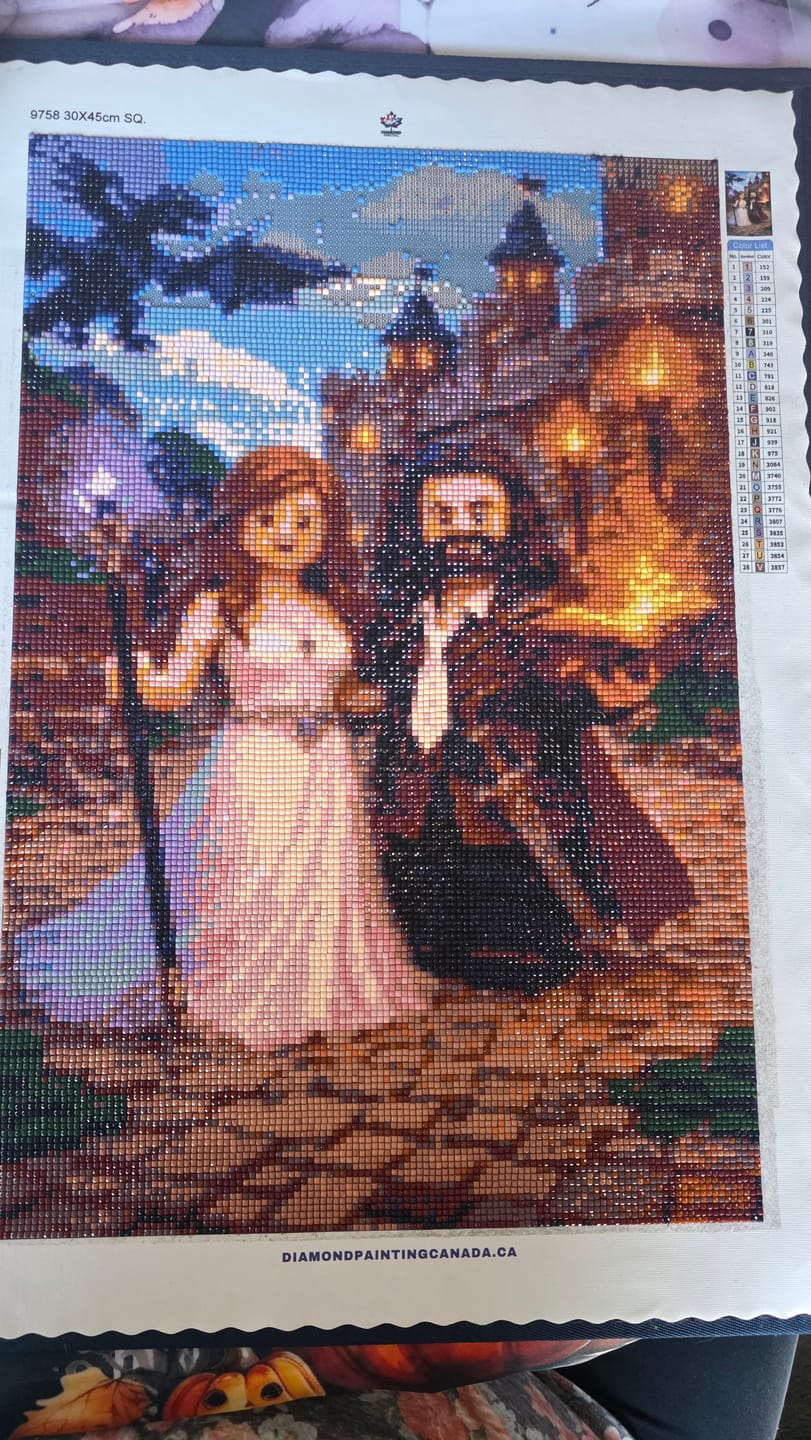 Customer photo review of Custom Diamond Painting