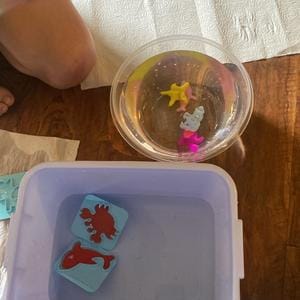 Customer photo review of Magic Water Pets DIY Kit