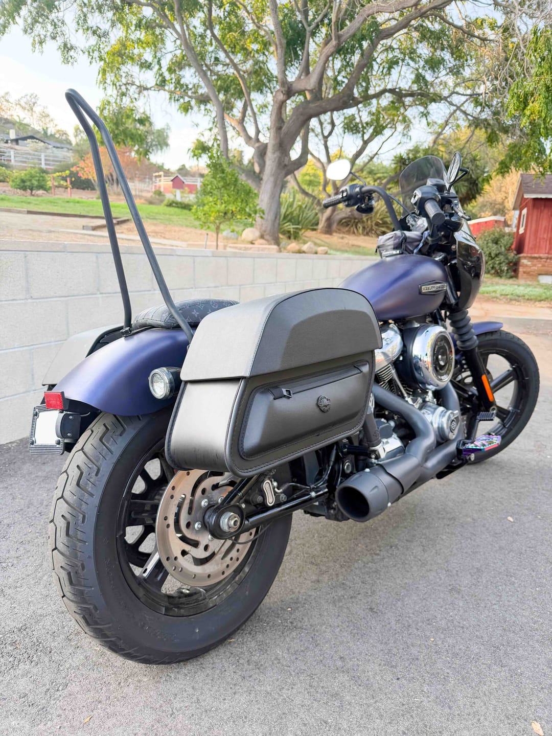 Customer photo review of Iron Born Blade 25" Sissy Bar for Harley Softail Street Bob Matte Black