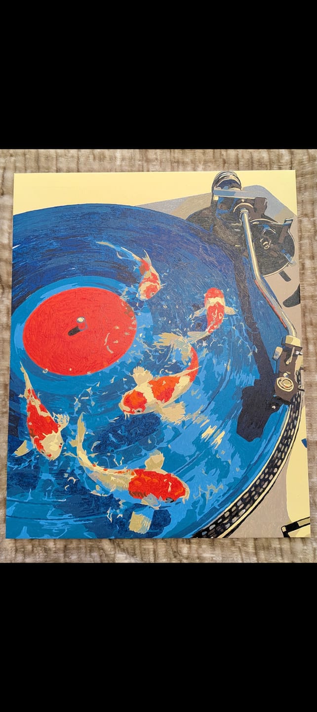 Customer photo review of Koi Records | Paint by Number