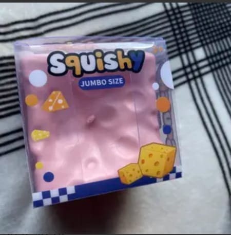 Customer photo review of Cheese Cube Squishy
