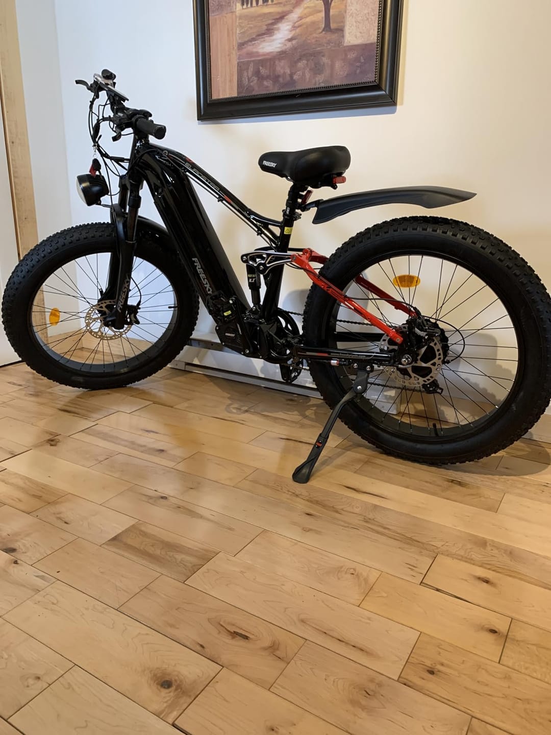 Customer photo review of Eurostar Turbo M-410