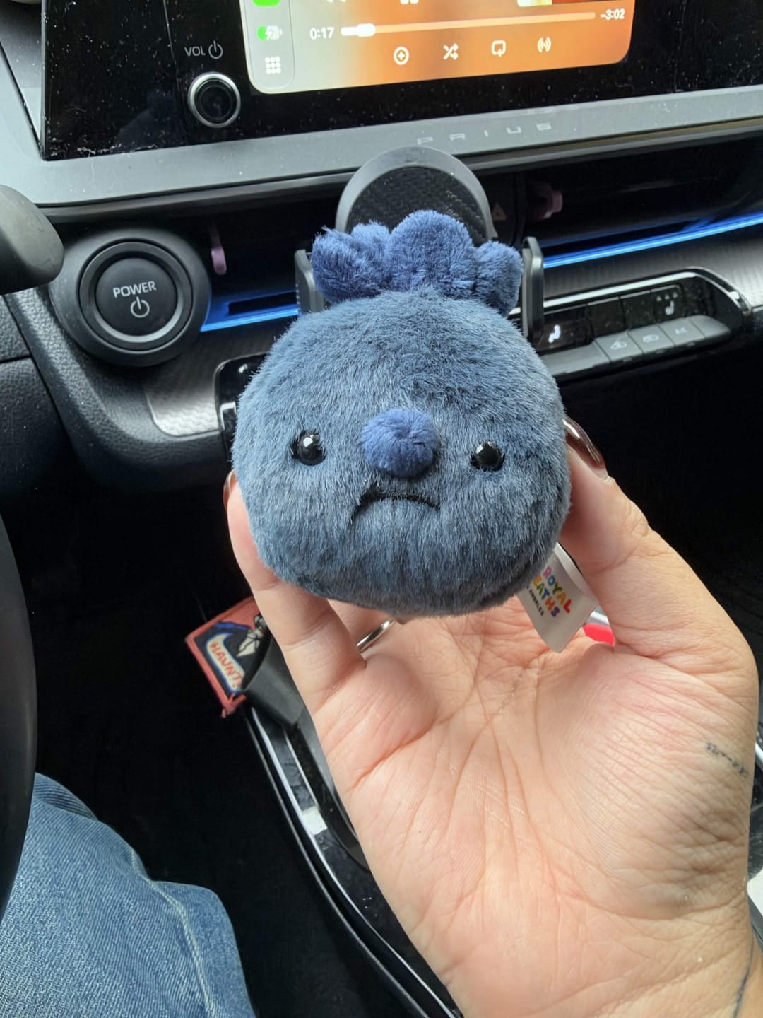 Customer photo review of Forgotten Single Blueberry