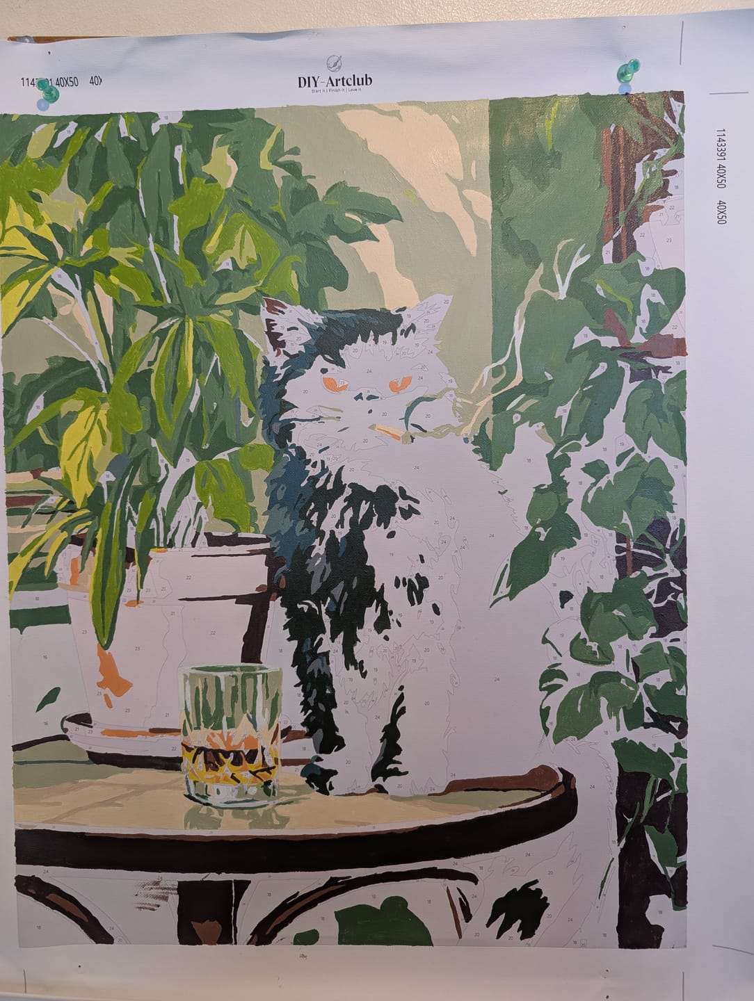Customer photo review of Grumpy cat | Paint by Number