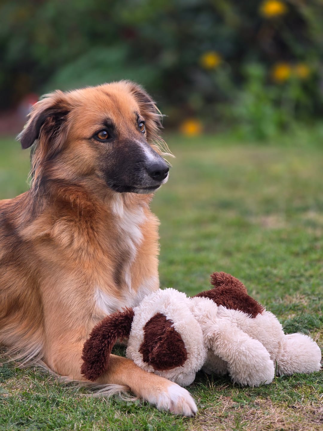 Customer photo review of Wurmtest Plus Hund