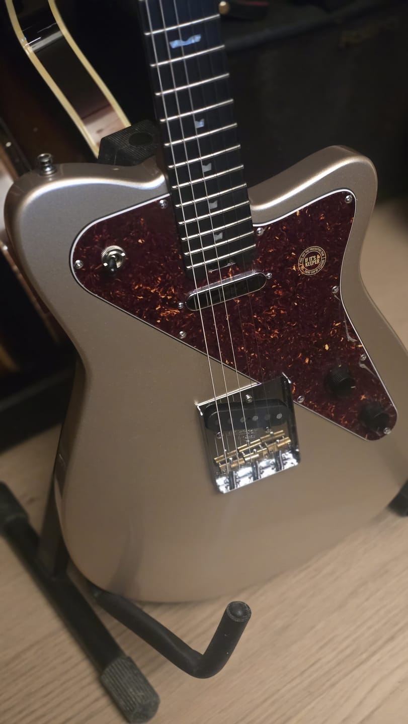 Customer photo review of Verve - Moon Silver - Preorder - September 2026 (W1)