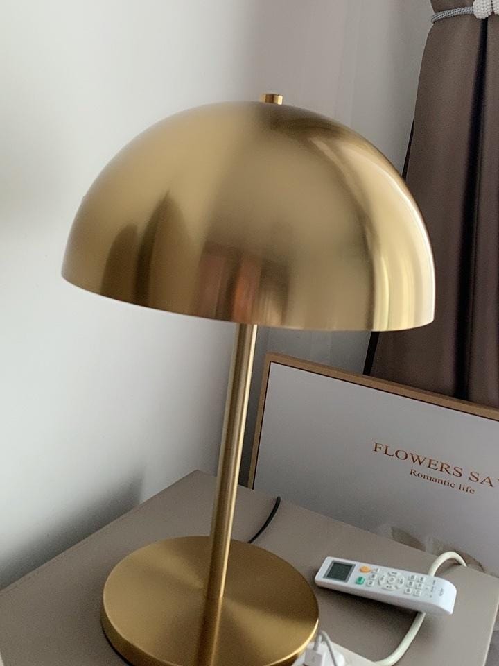 Customer photo review of Dome Shade Table Lamp, Metal Base, 45 cm Tall, Plug In