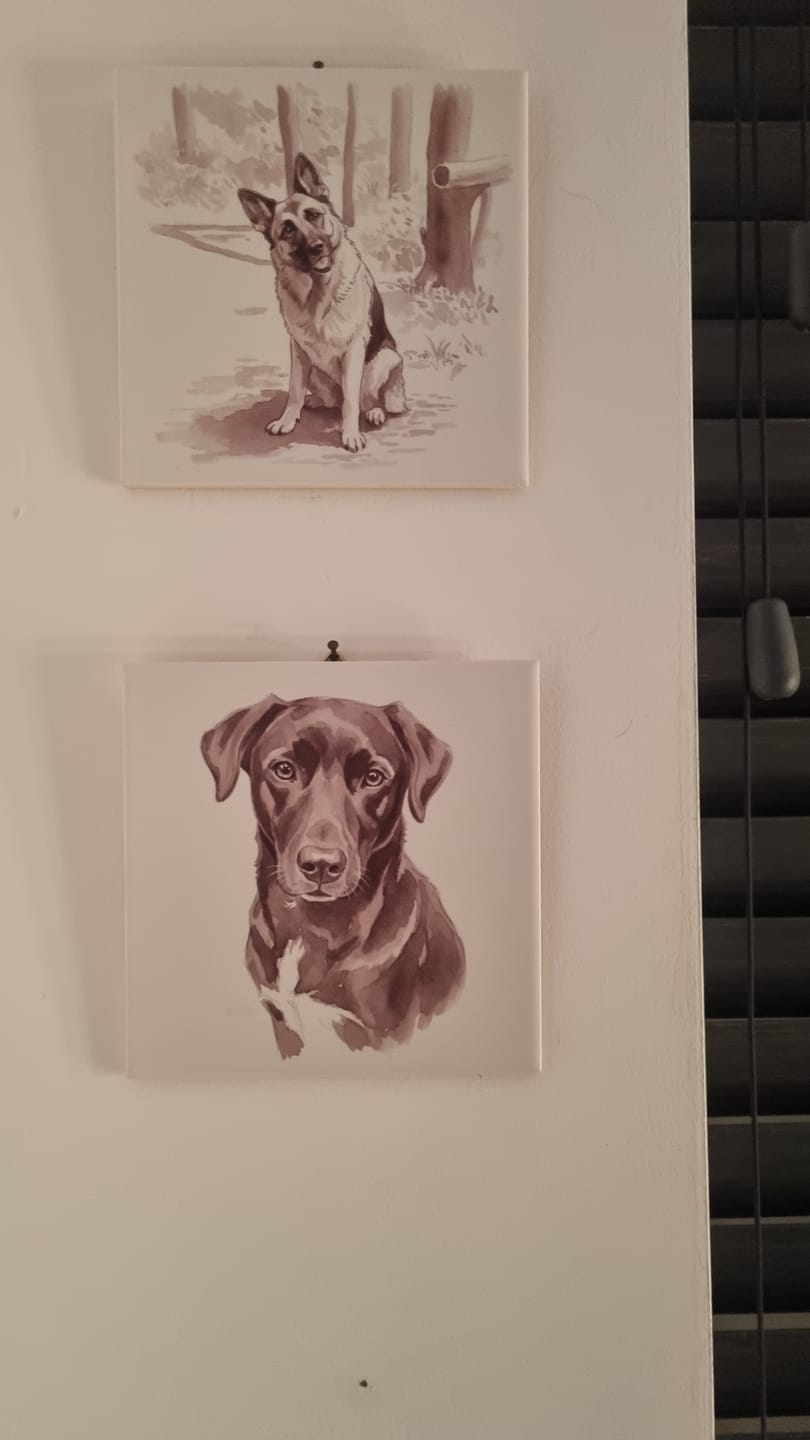 Customer photo review of Sepia Huisdier Portret Tegel - Jouw Huisdier als Vintage Waterverf Kunstwerk
