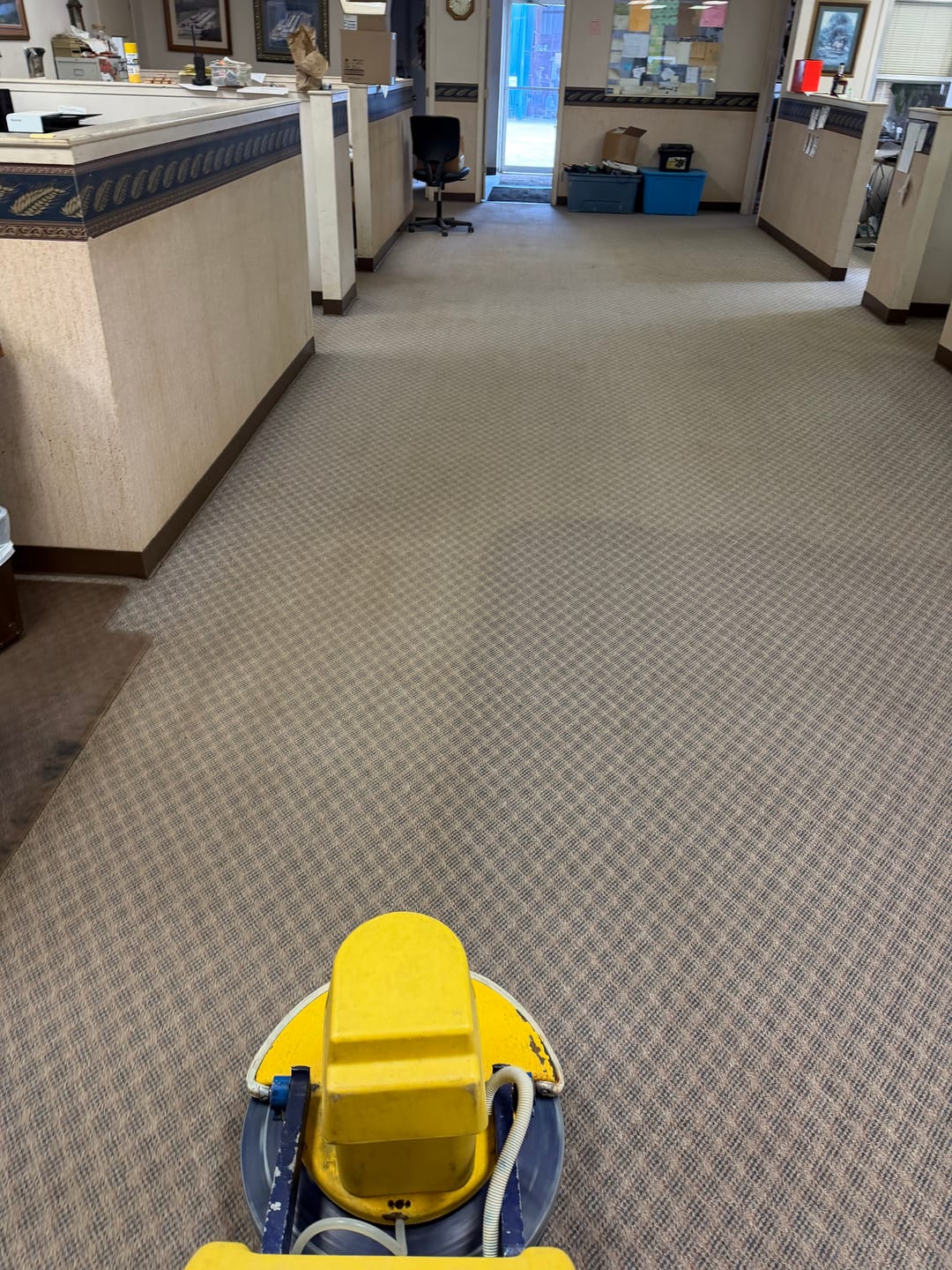 Customer photo review of FiberPlus Carpet Cleaning Pads 8 inch (case of 15) Commercial Carpet Cleaning Supplies (for 19" Cimex)