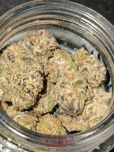 Customer photo review of THC-A 34% Flower Do-Si-Dos x Gelato
