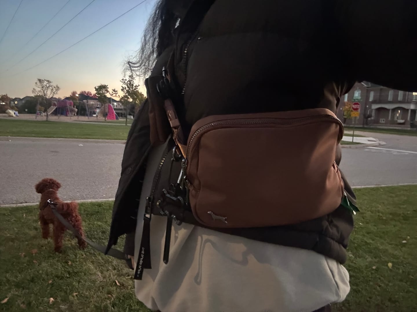 Customer photo review of Daily Belt Bag