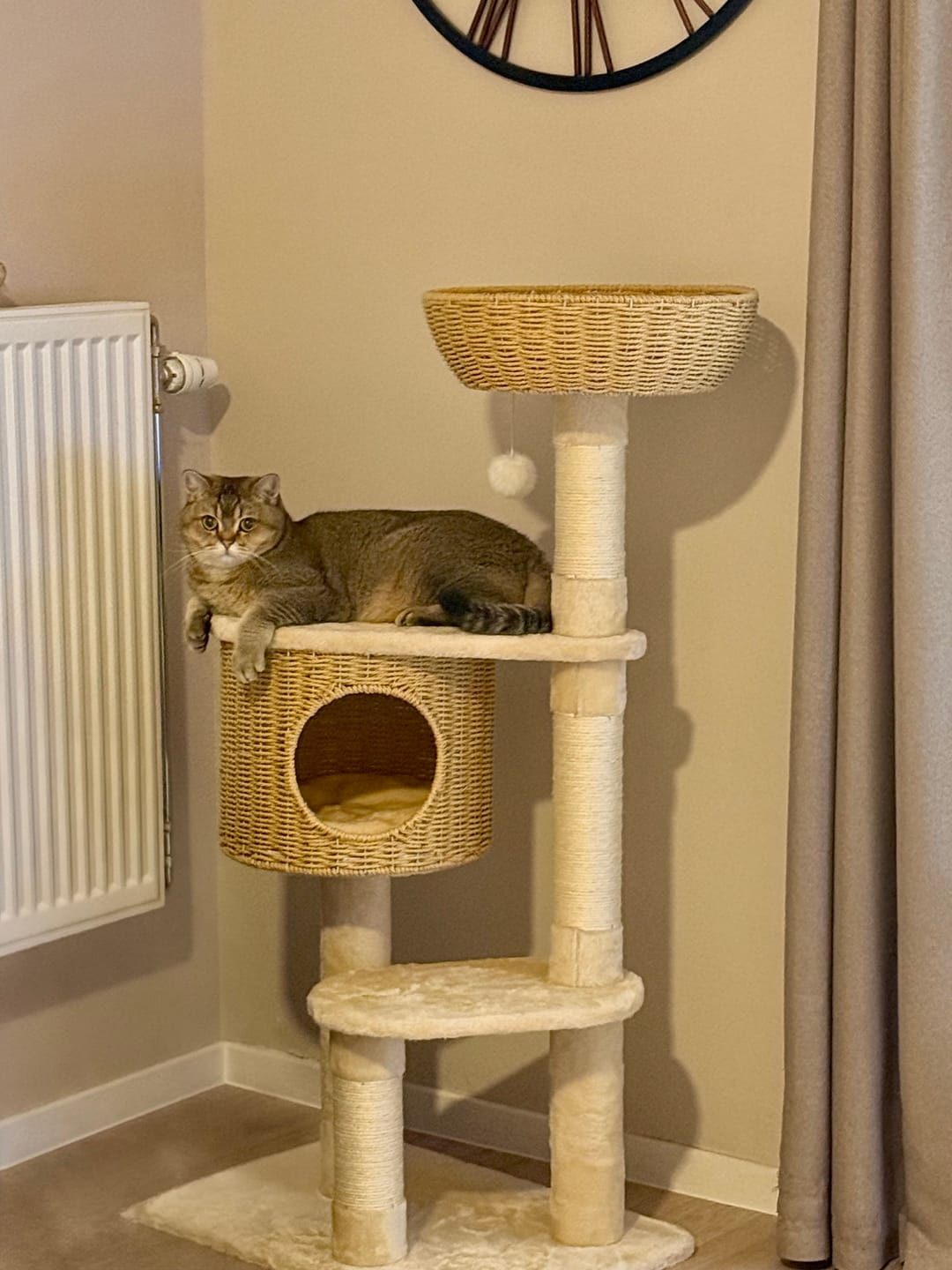 Customer photo review of Arbre à Chat - Reve Felin