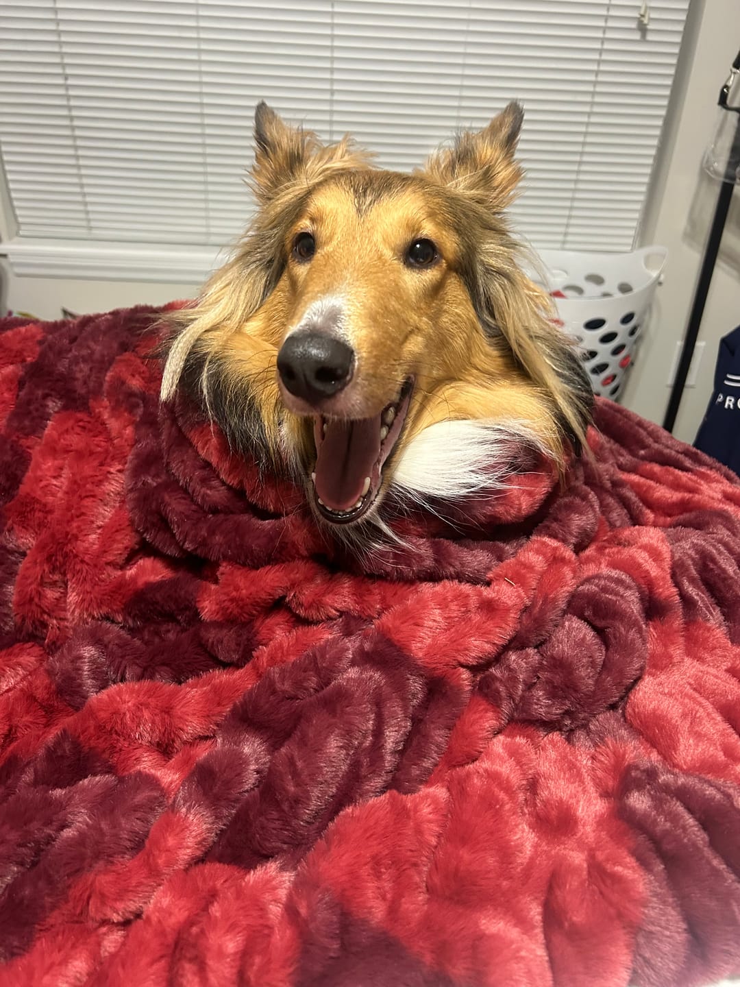 Customer photo review of Hugs Diamond Red Blanket