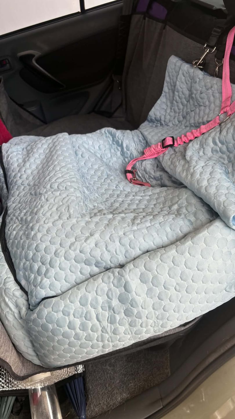 Customer photo review of Frostcore™ Dog Cooling Car Seat Beds