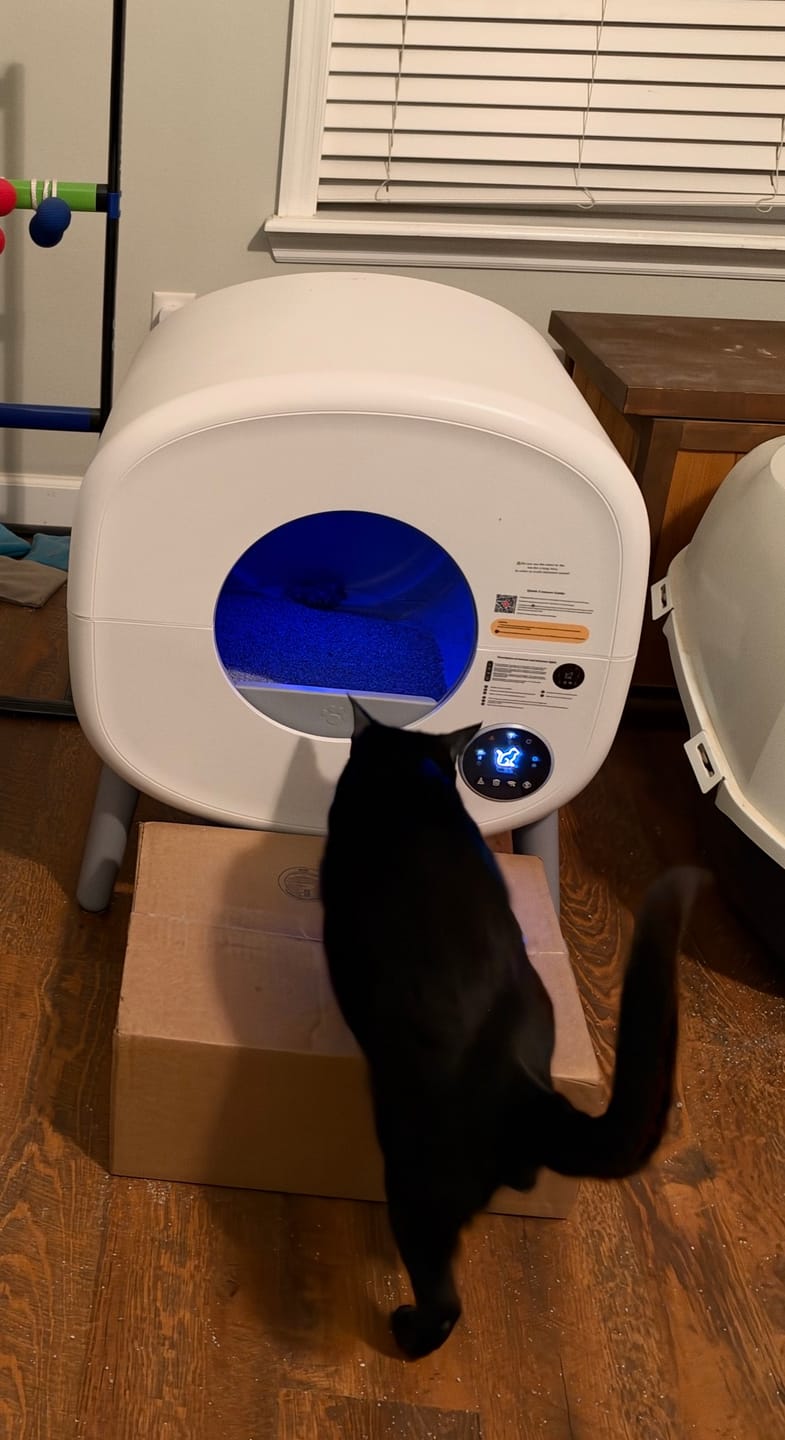 Customer photo review of Cumrige Self-Cleaning Litter Box | Automatic, Extra-Large Capacity for Multi-Cat Homes (M2)