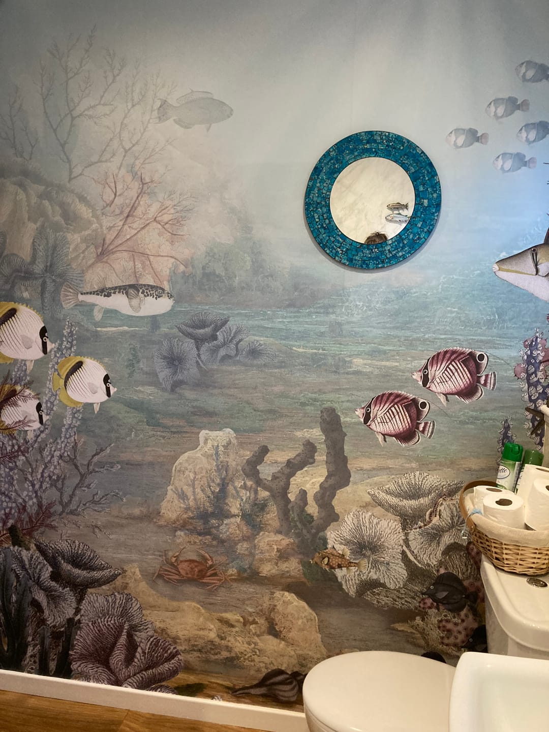 Customer photo review of Flounder - Fish and Coral Underwater Watercolour Scene Wallpaper Mural