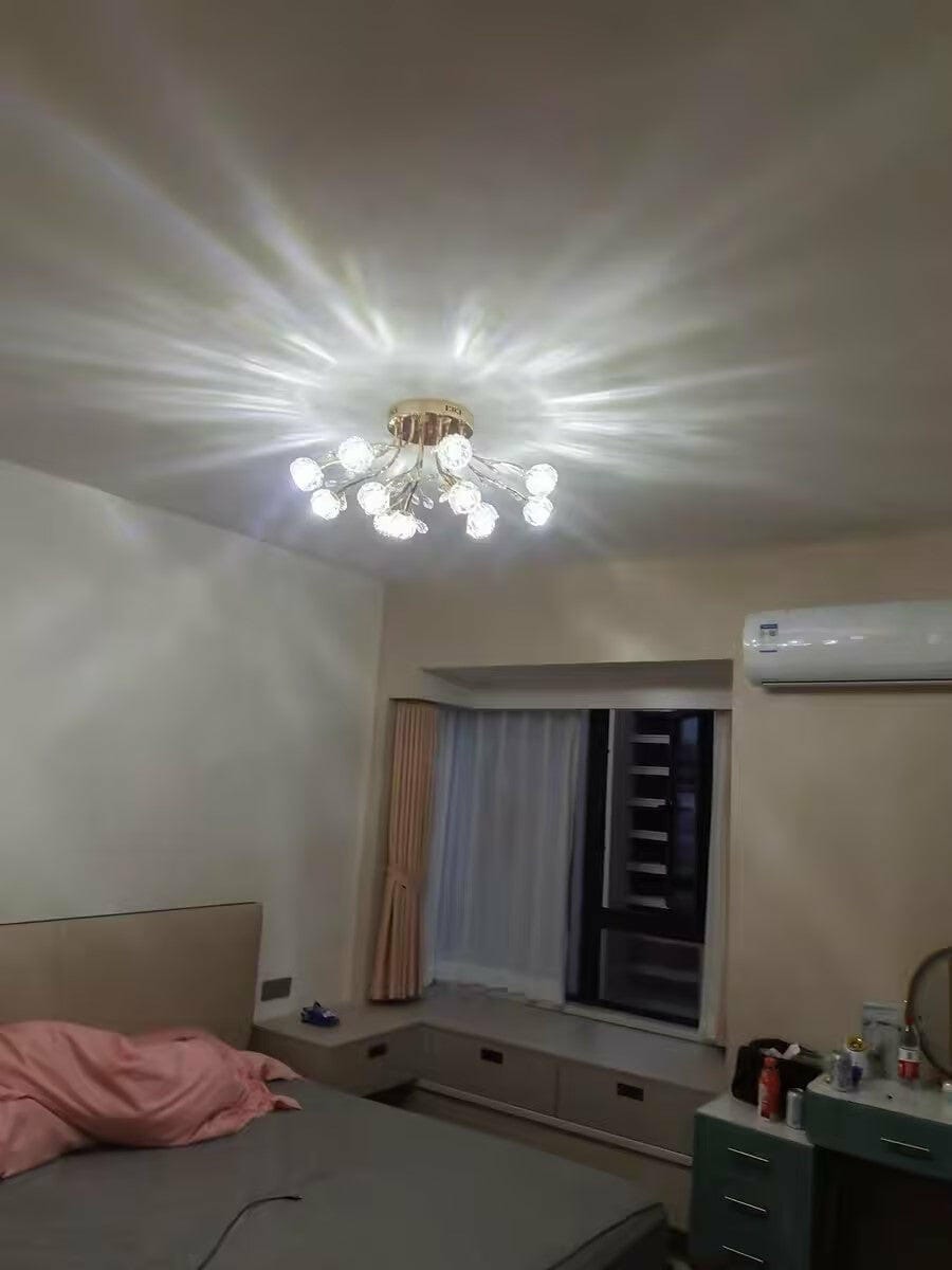 Customer photo review of Crystal Flower Ceiling Light, Gold Finish, Flush Mount Canopy