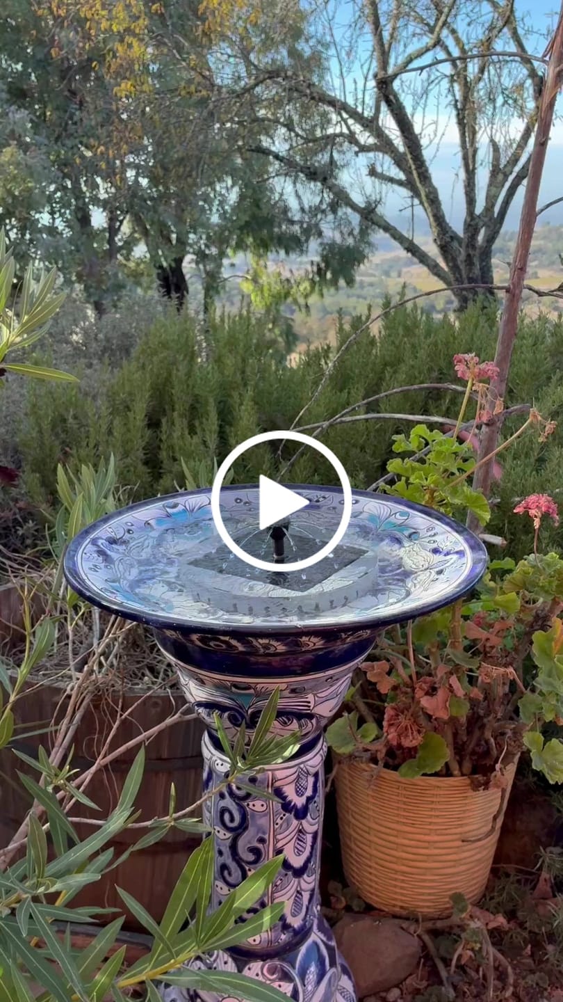 Customer video review of 9" Solar Fountain Insert for Bird Baths, Ponds & Pools