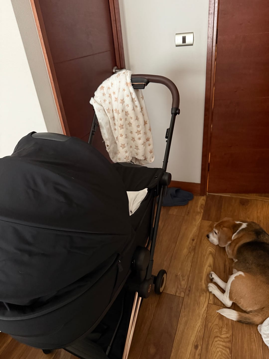 Customer photo review of Coche de paseo Coya Style Collection