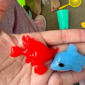 Customer photo review of Magic Water Pets DIY Kit