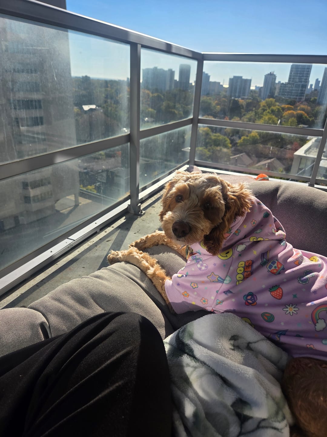 Customer photo review of Good Vibes Dog Hoodie - Purple
