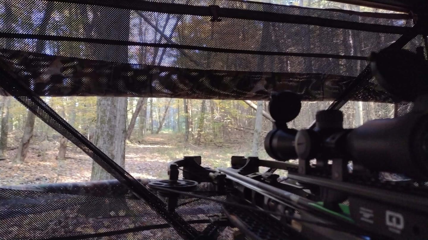 Customer photo review of Vis360 See Through Ground Blind | 360° Camouflage Pop Up Hunting Blind for 2/3/4 Person | Portable Deer Blind with Orange Cover